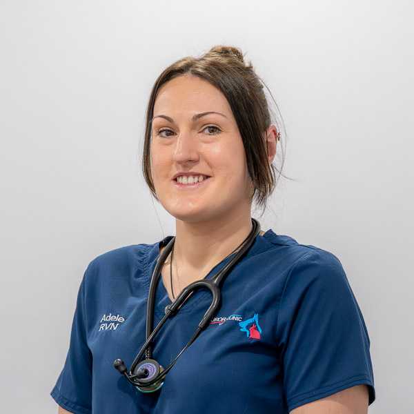 Adele Green - AVC (Web)