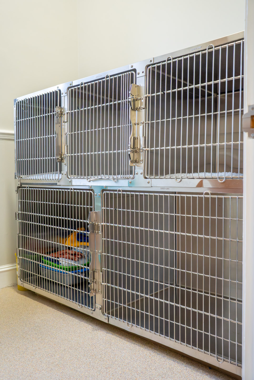 Aurora Vet Clinic (Web) 014