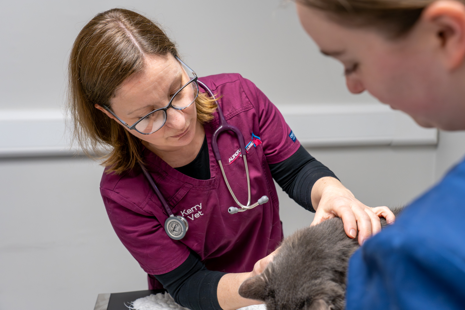 Aurora Vet Clinic (Web) 090