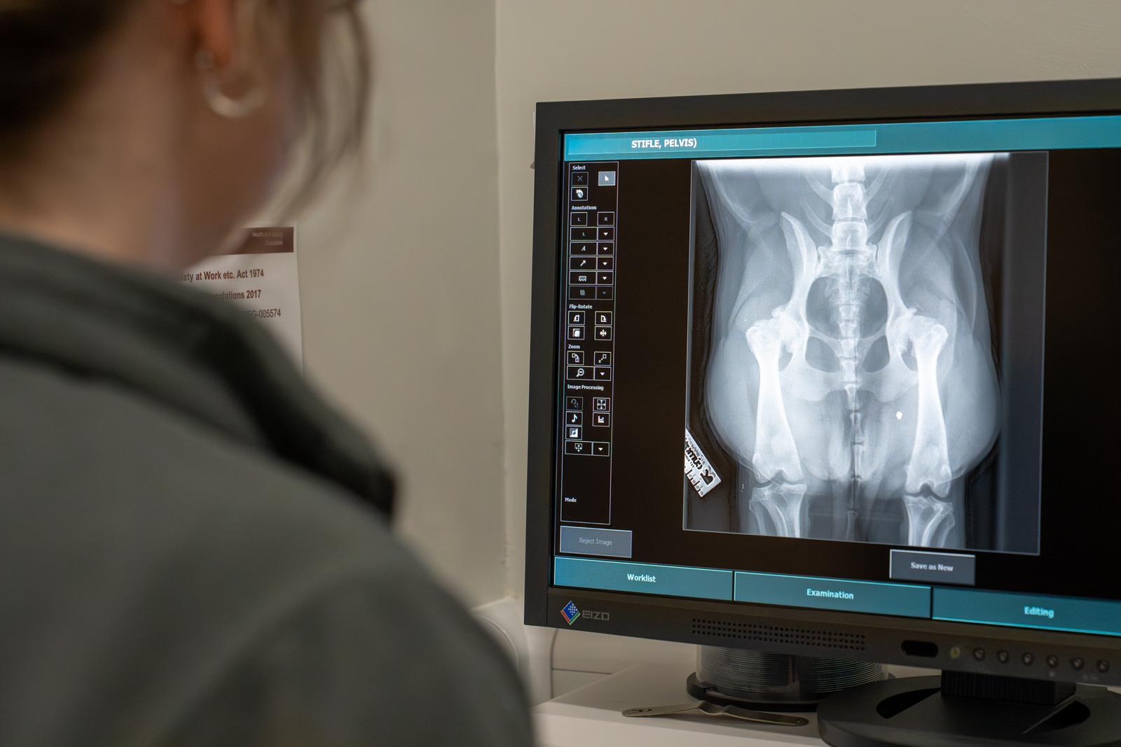 Aurora Vet Clinic (Web) 100